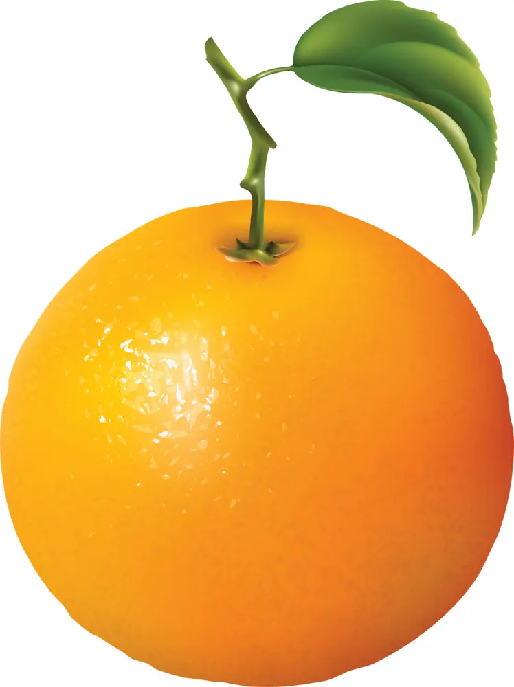 Single Orange with Leaf