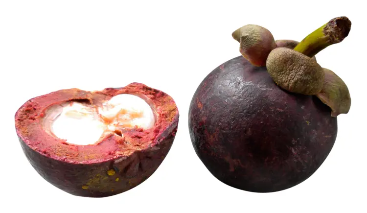 Purple Mangosteen Fruit