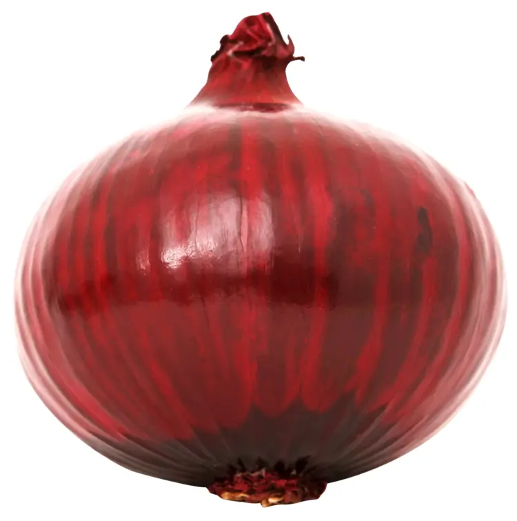 Whole Red Onion