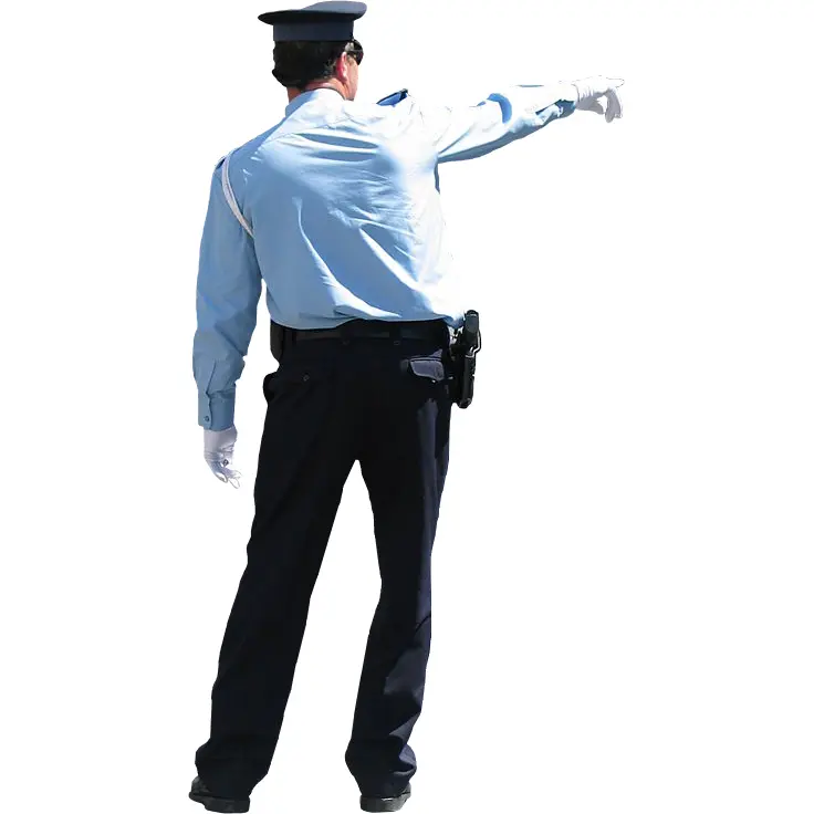 Police Officer Pointing