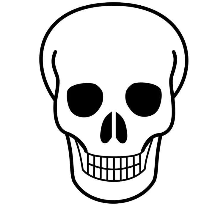 Simple Skull Illustration