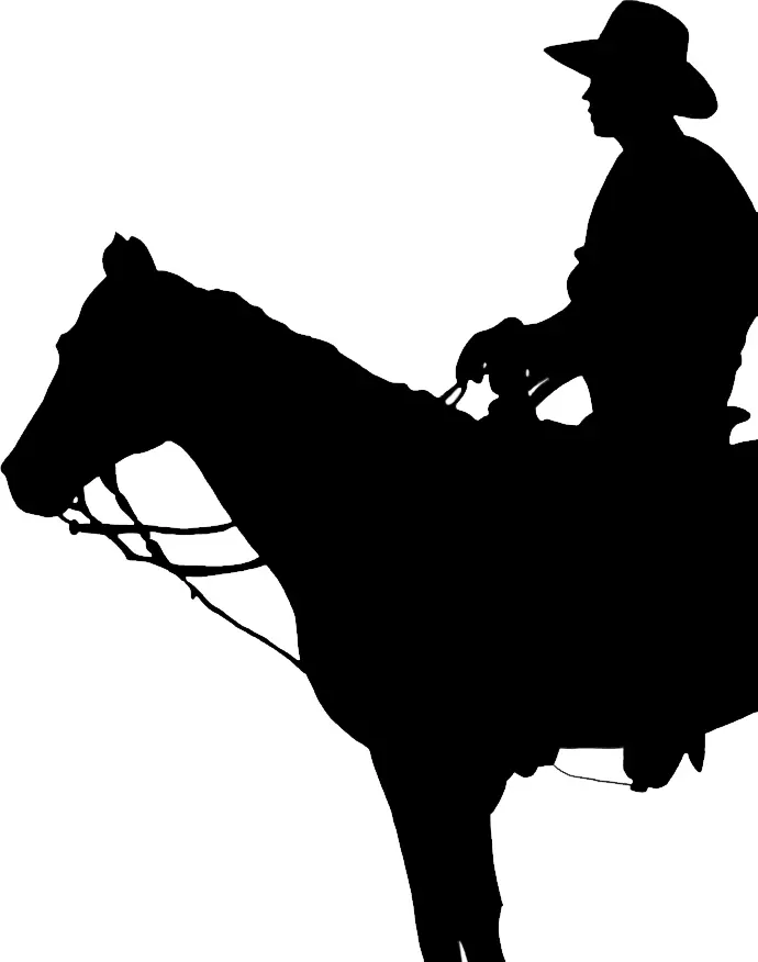 Silhouette of Cowboy Riding a Horse