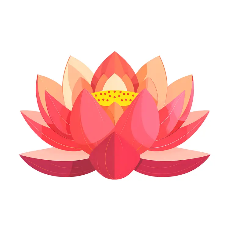 Pink Lotus Flower