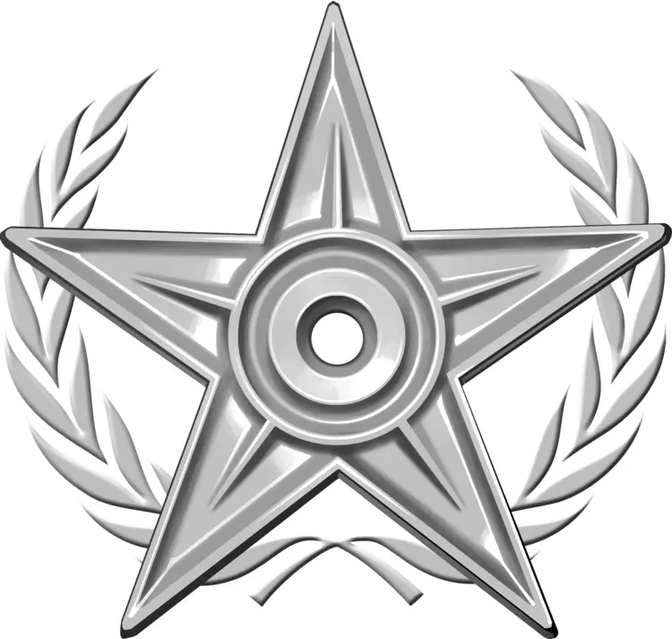 Silver Star with Laurel for Achievement