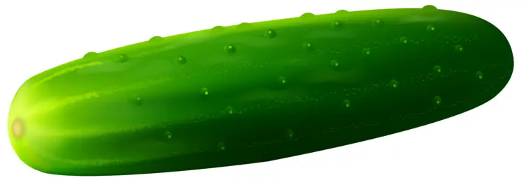 Green Cucumber Illustration