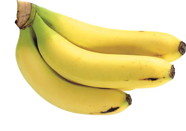 Fresh Bunch of Bananas