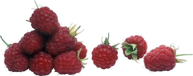 Cluster of Fresh Raspberries