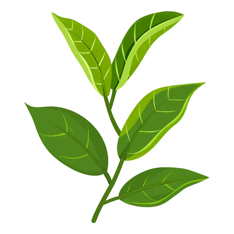 Tea Leaves with Green Stems