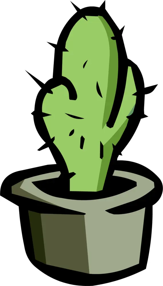 Green Cactus in a Pot