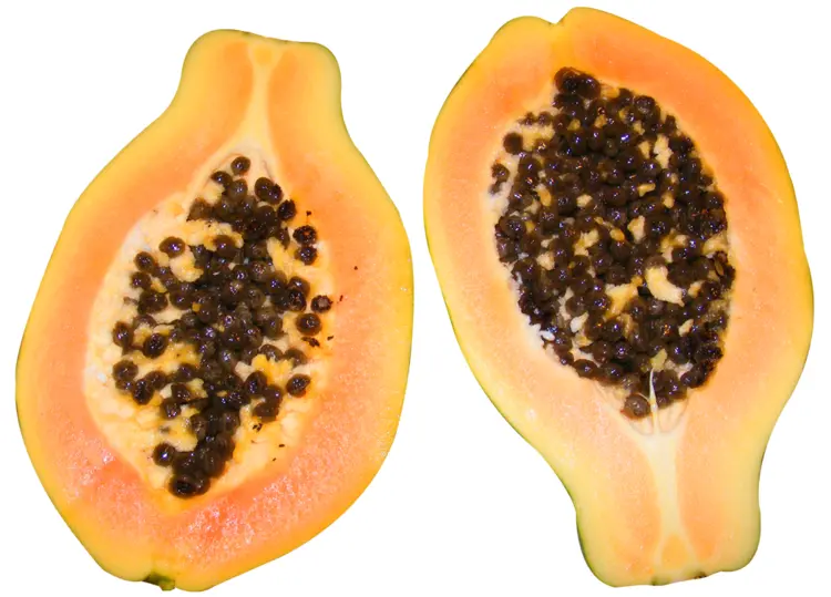Halved Papaya with Seeds