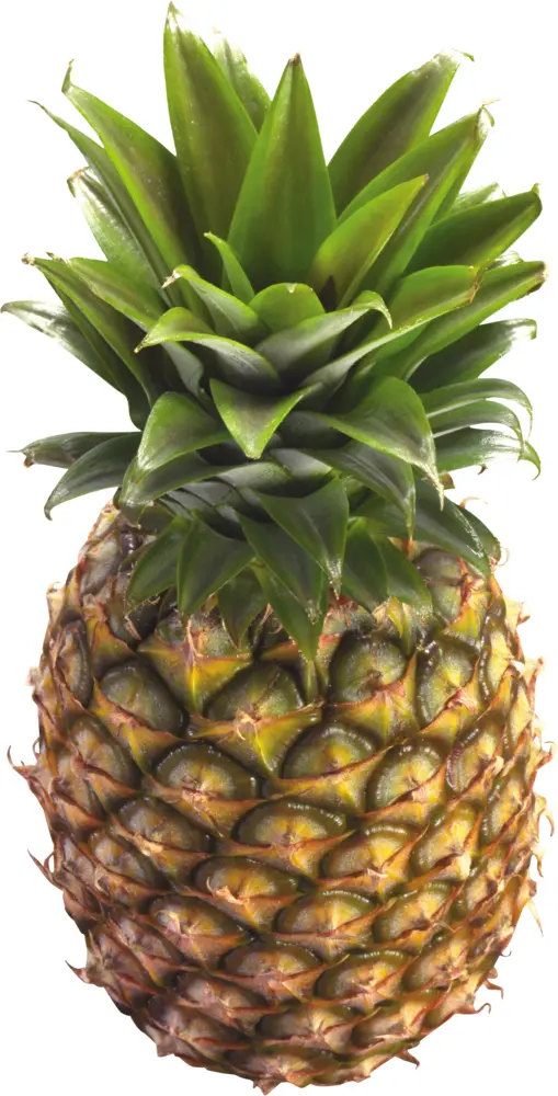 Fresh Pineapple with Green Leaves