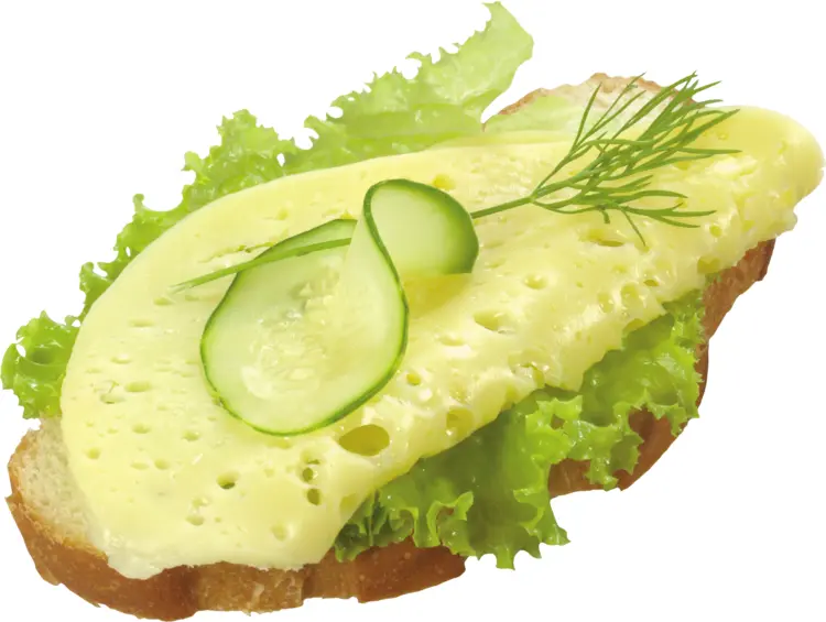 Open Sandwich with Cheese and Cucumber