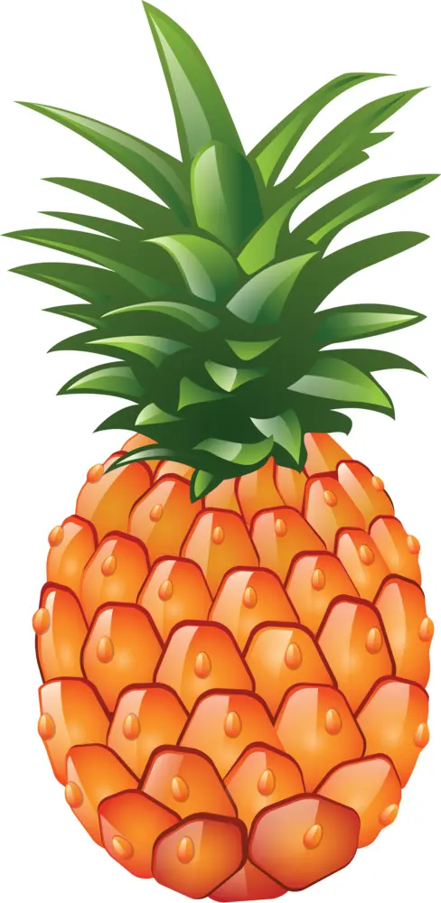 Cartoon Pineapple
