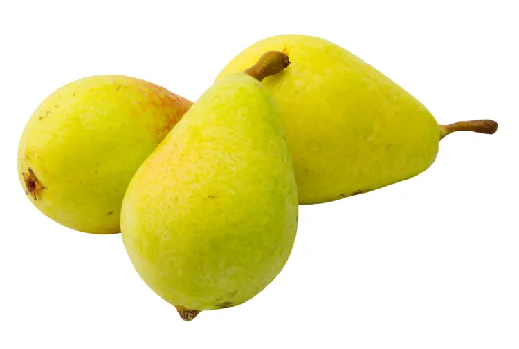 Three Yellow Pears