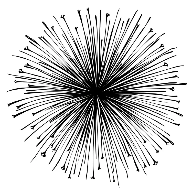 Black Firework Illustration
