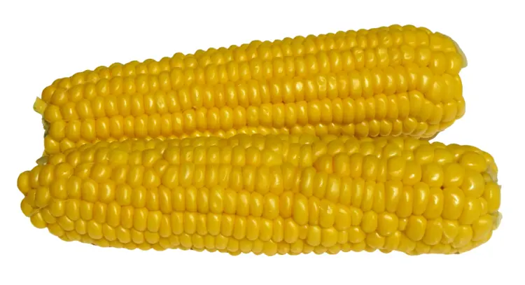 Boiled Corn on the Cob