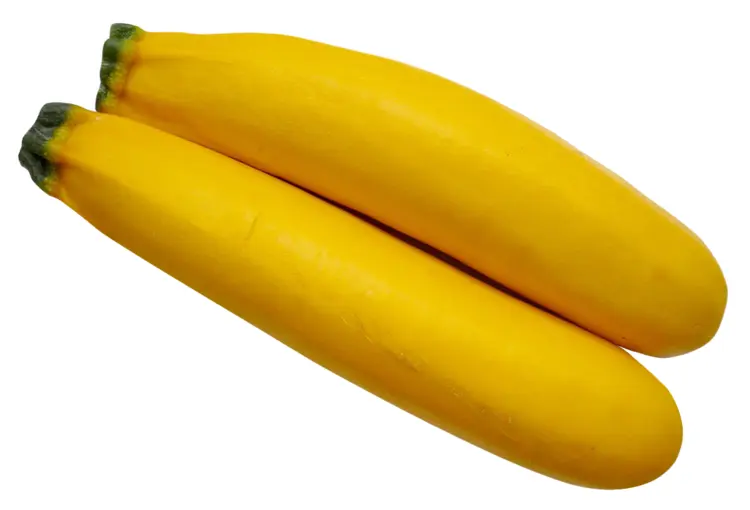 Fresh Yellow Zucchini