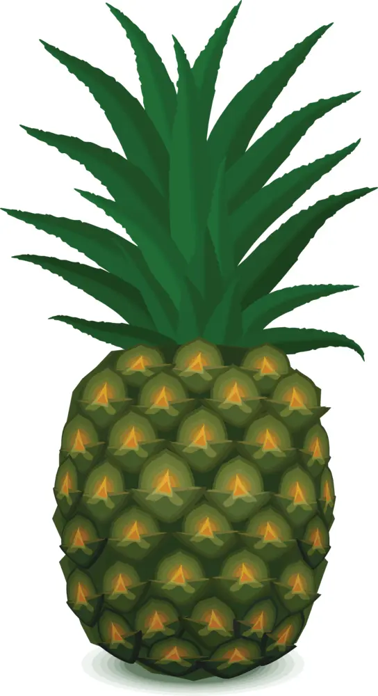 Juicy Pineapple with Green Leaves