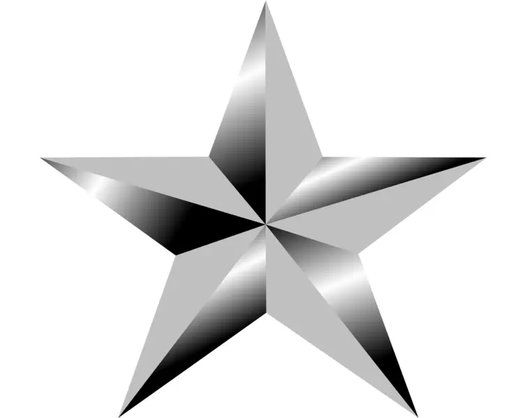 Shiny Silver Star Decoration