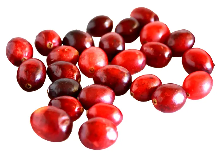 Fresh Red Cranberries