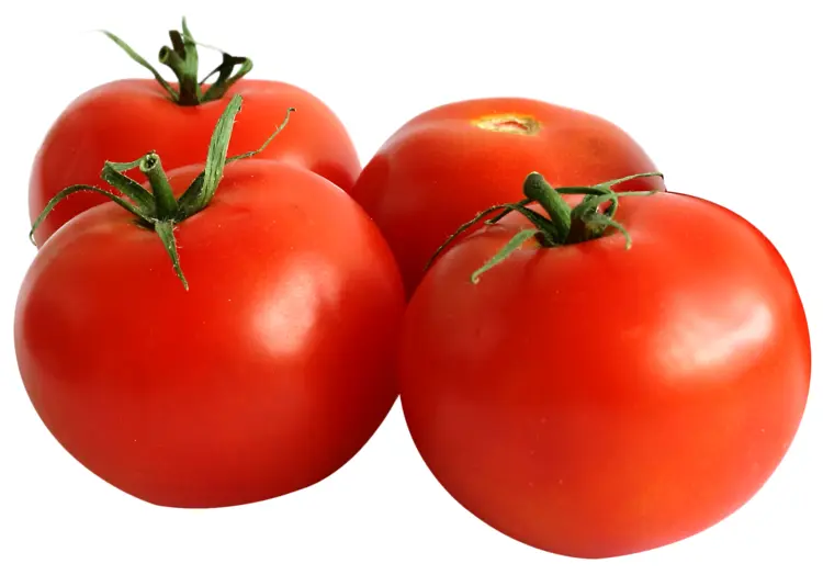Fresh Red Tomatoes