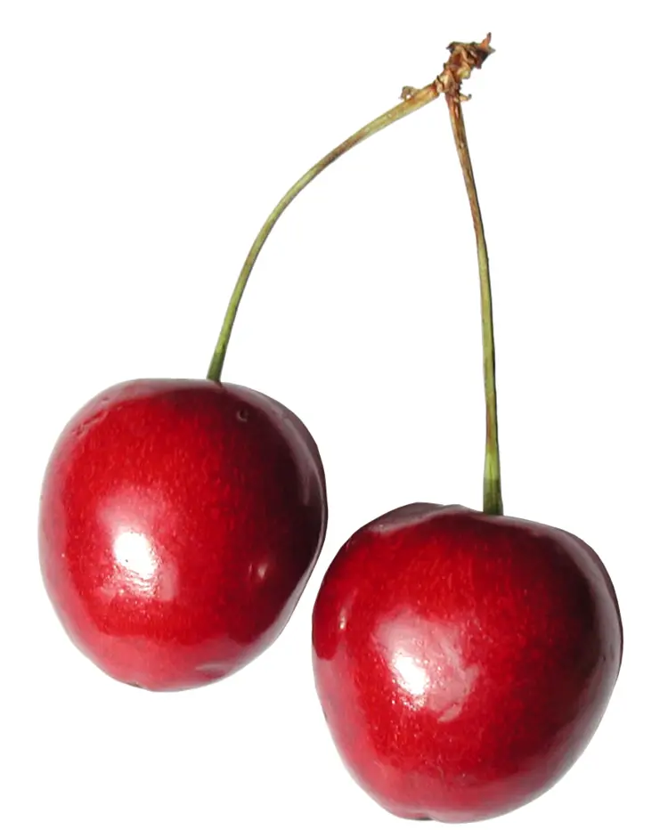 Pair of Red Cherries