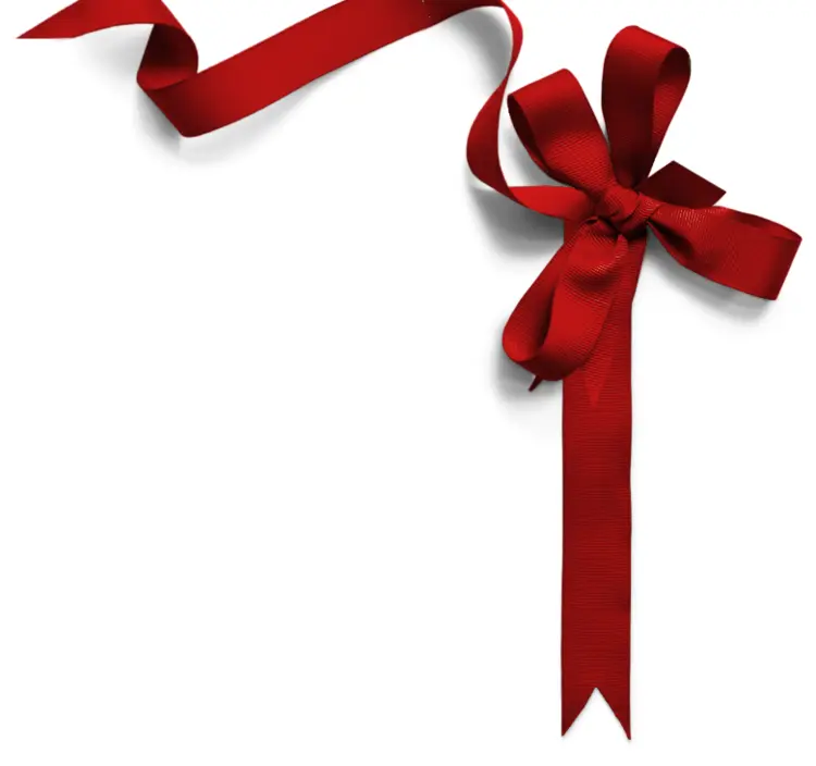 Red Ribbon Bow Decoration
