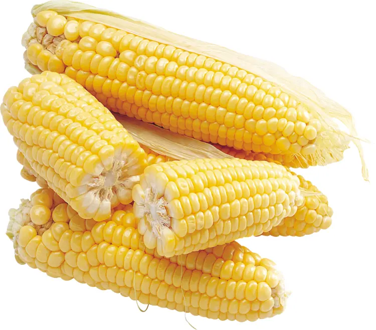 Stacked Fresh Yellow Corn