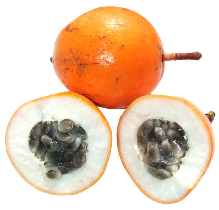 Orange Granadilla
