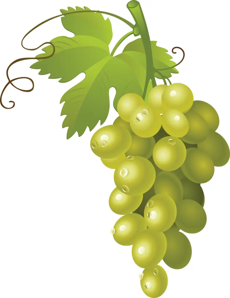 Juicy Green Grapes with Green Leaves