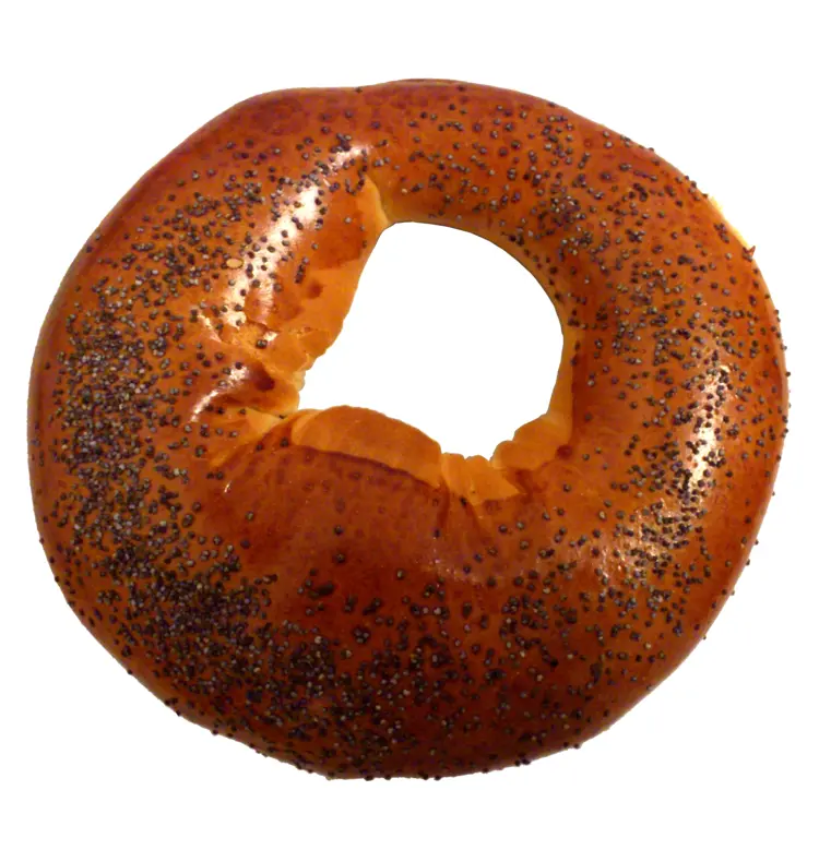 Poppy Seed Bagel