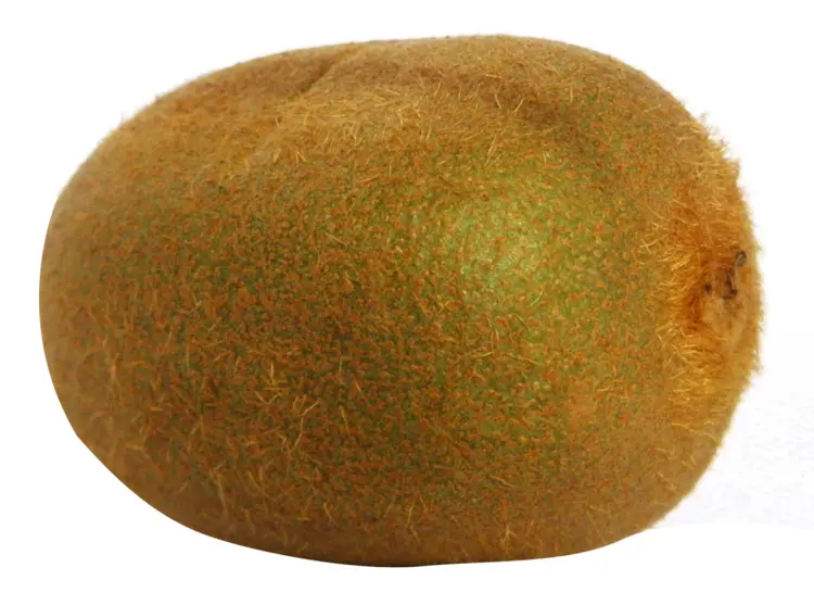 Whole Kiwi Fruit