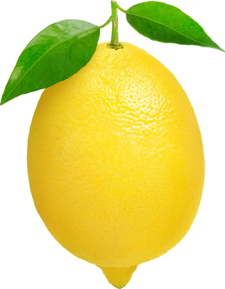 Fresh Yellow Lemon with Green Leaves
