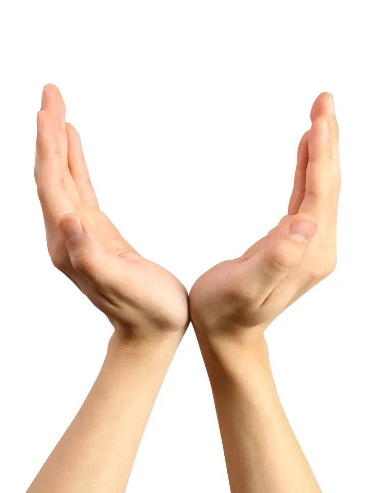 Hands Cupped Together
