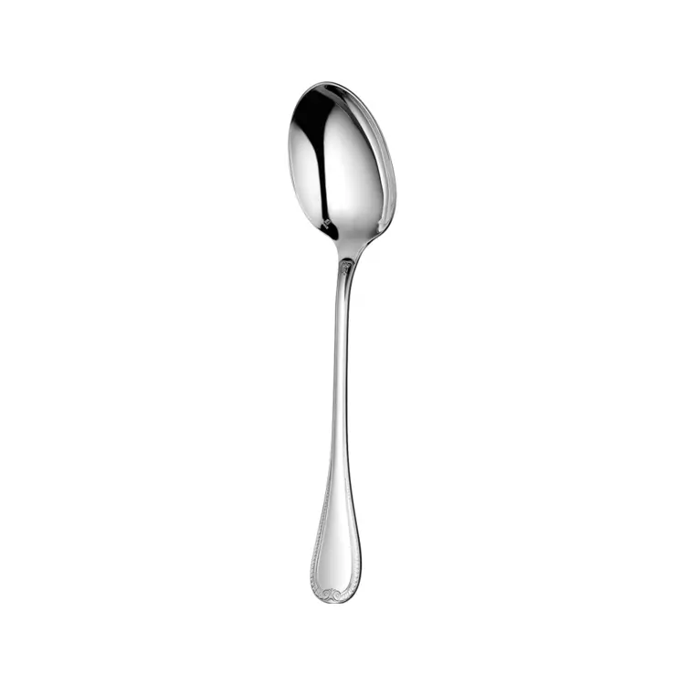 Shiny Silver Spoon for Dining