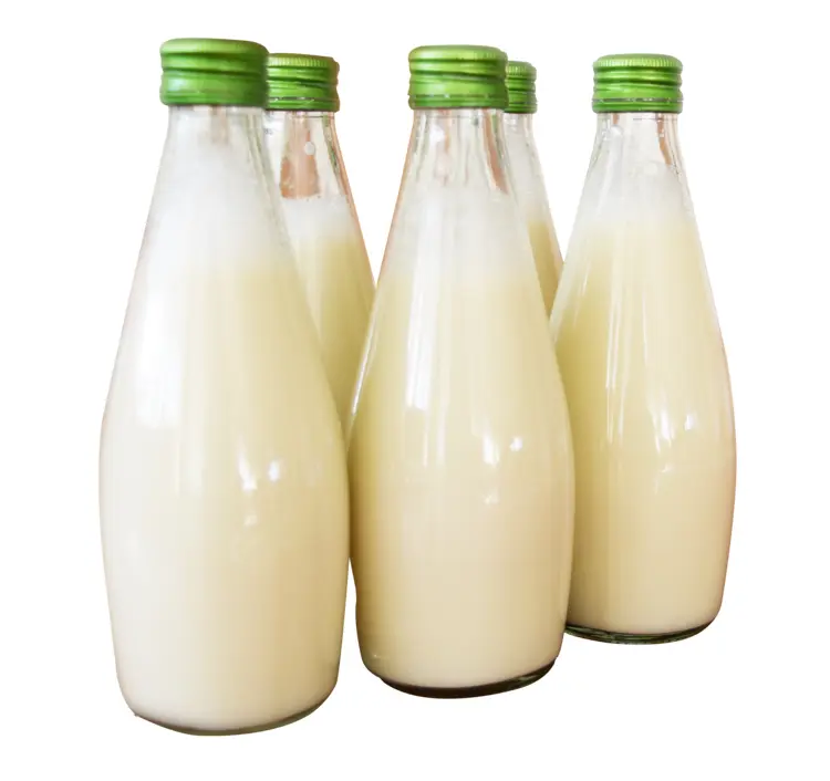 Milk bottles with green caps