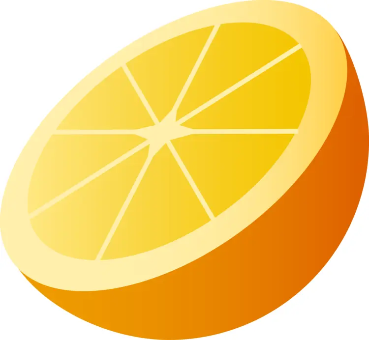 Half Orange Slice