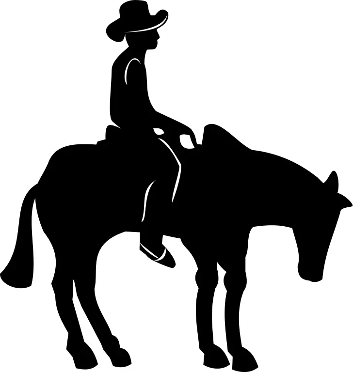 Silhouette of a person on a horse