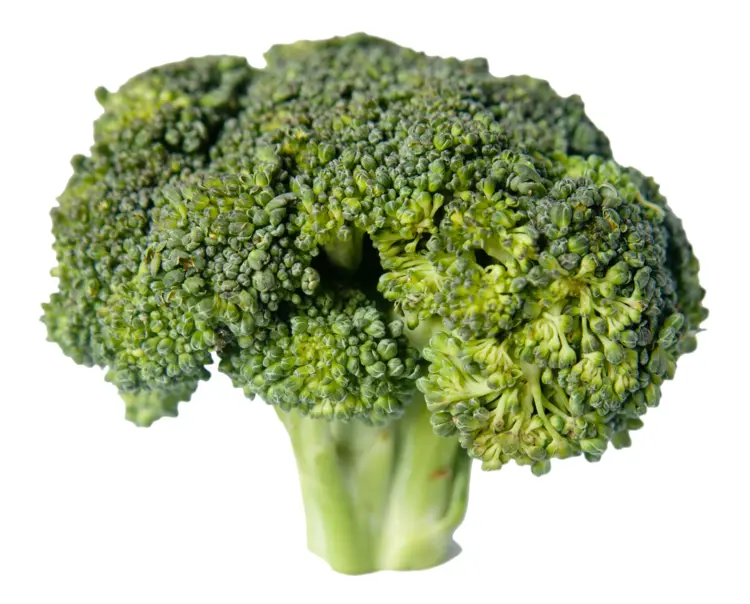Fresh Green Broccoli