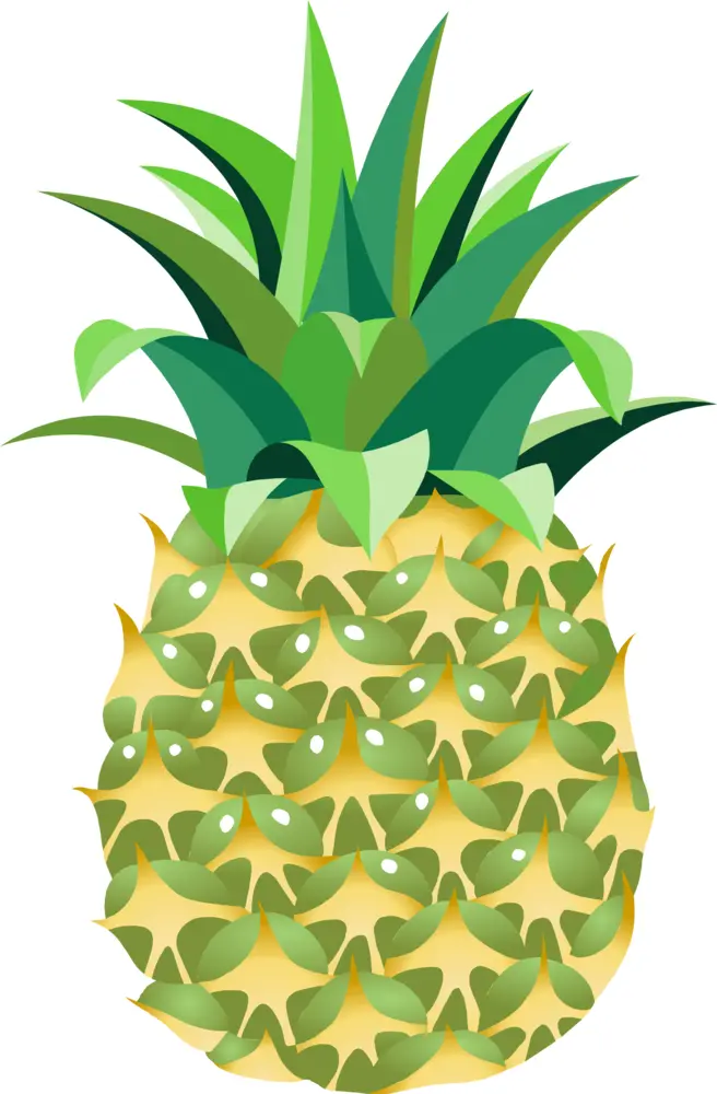 Cartoon Pineapple with Green Leaves