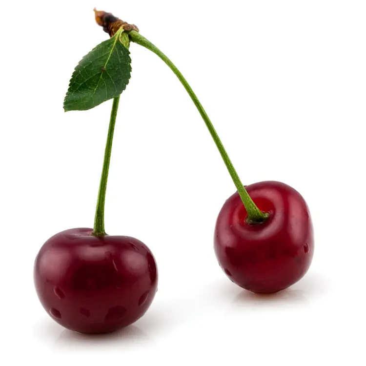Two Fresh Red Cherries with Leaf