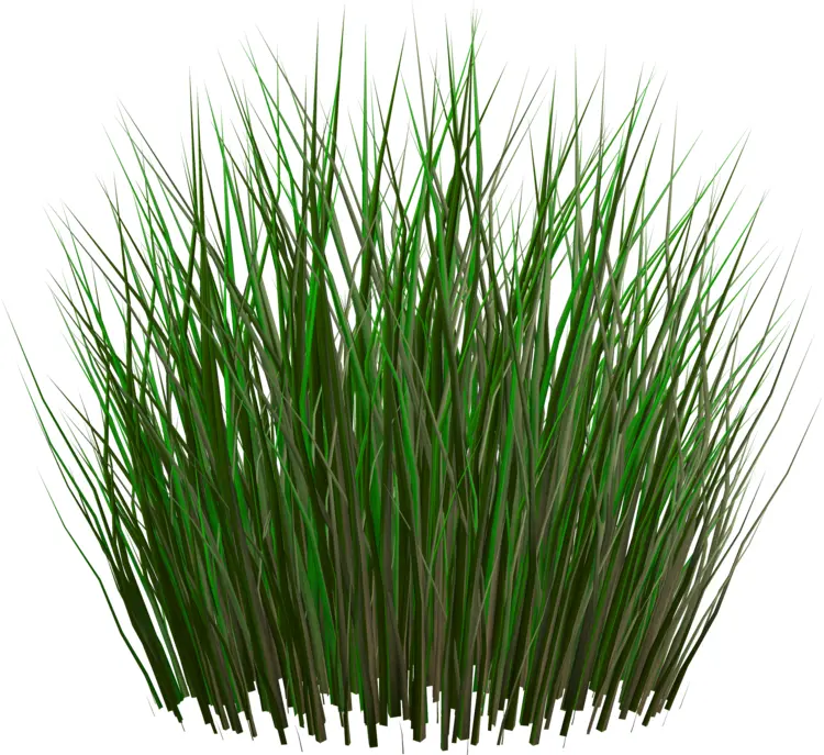 Dense Green Grass Illustration