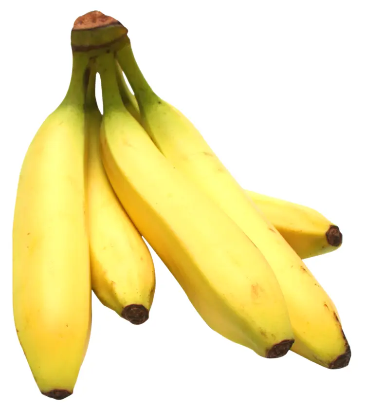 Fresh Bunch of Yellow Bananas