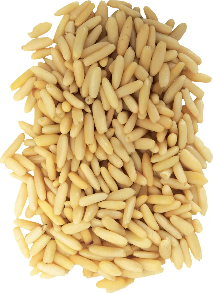 Pile of Pine Nuts