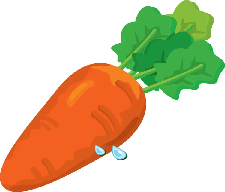 Cartoon Carrot with Green Leaves