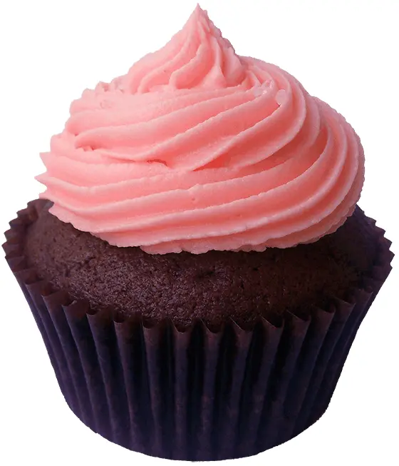 Chocolate Cupcake with Pink Frosting