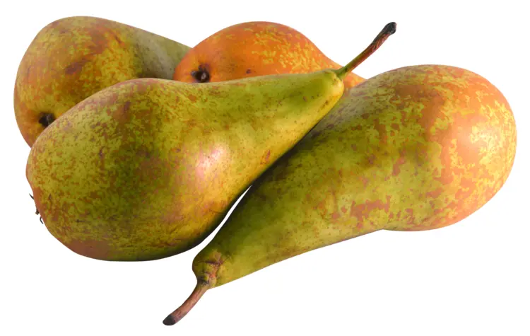 Ripe Pears on Transparent Background