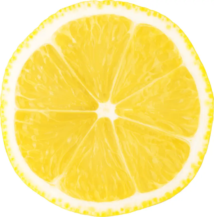 Close-up of a Lemon Slice
