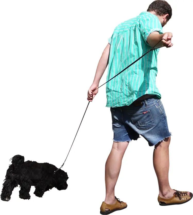 Man Walking Dog in Casual Outfit