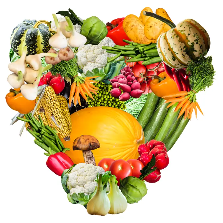 Heart Shape Made of Various Vegetables